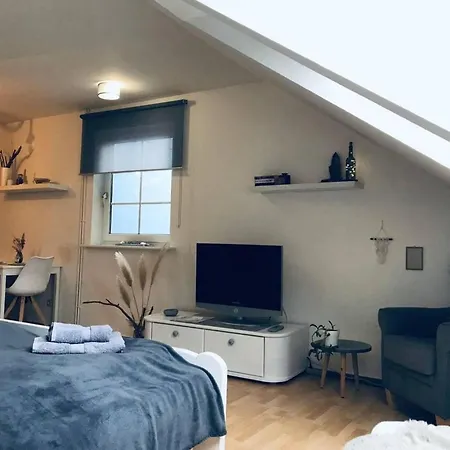 Kleine Mit Hund Apartment