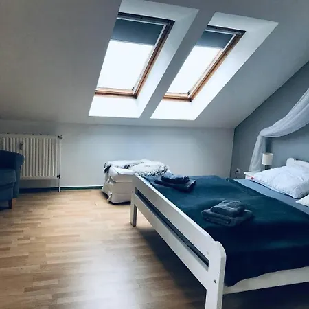 Apartment Kleine Mit Hund